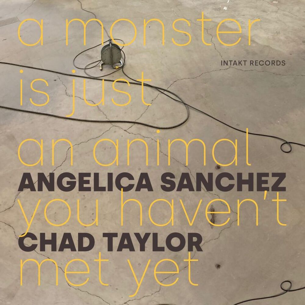Angelica Sanchez - A Monster Is Just an Animal You Haven't Met Yet  COMPACT